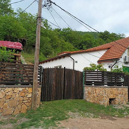 Andrei Villa Sasca Montană Екстериор снимка