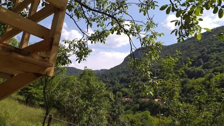 Andrei Villa Sasca Montană Екстериор снимка