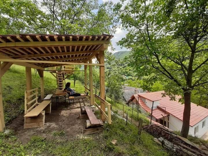 Andrei Villa Sasca Montană Екстериор снимка