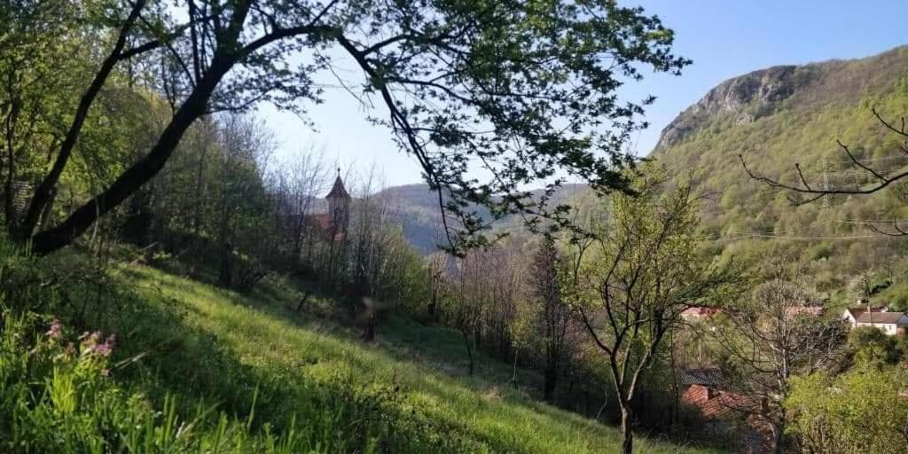 Andrei Villa Sasca Montană Екстериор снимка