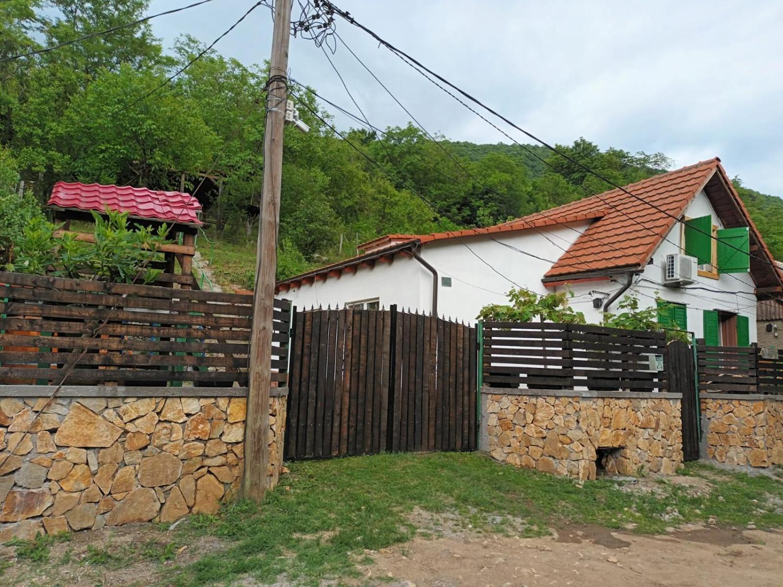 Andrei Villa Sasca Montană Екстериор снимка
